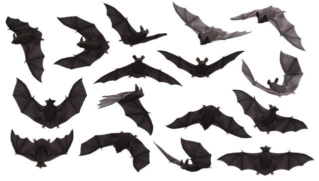 Image of bats