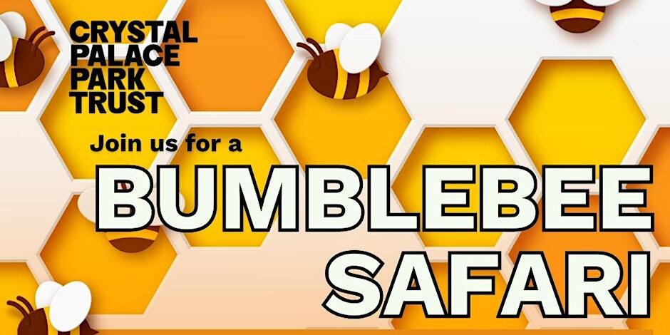 Bumblebee safari