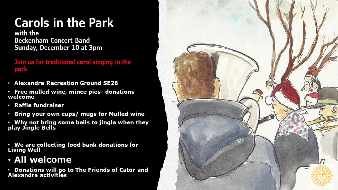 Carols in the park