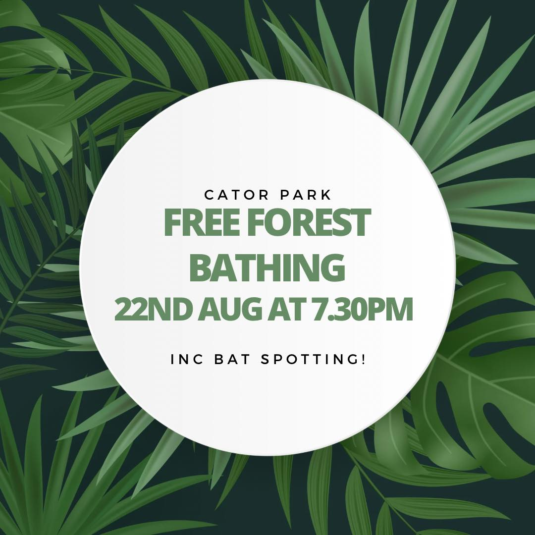Cator Park Forest Bathing walk image