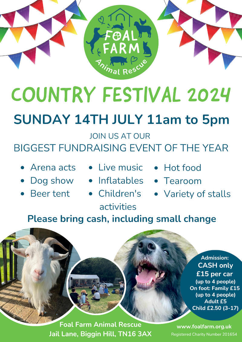 Country Festival