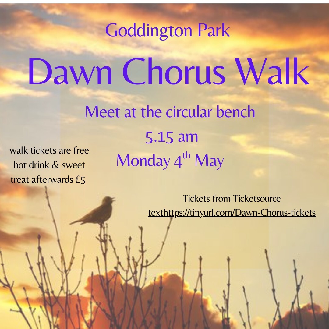 Dawn Chorus Guided Walk in Goddington