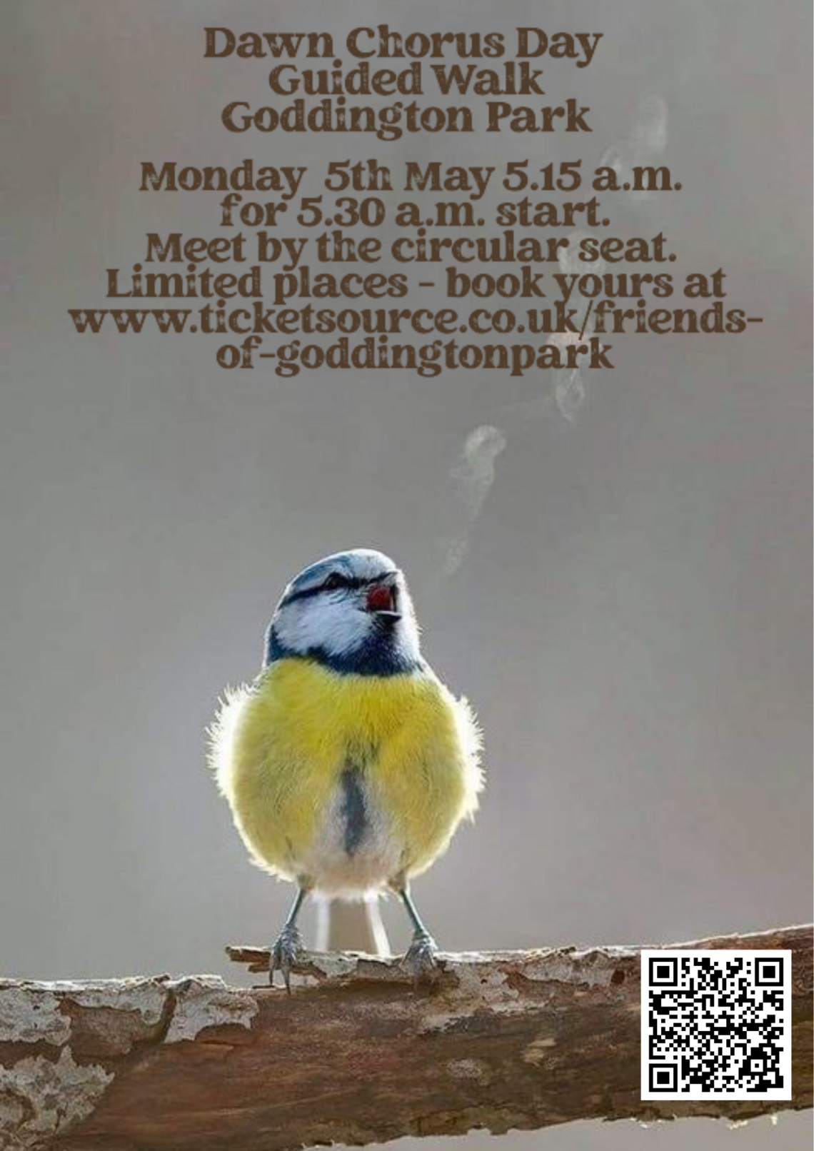 Bird sitting on branch beneath event text (text on webpage)