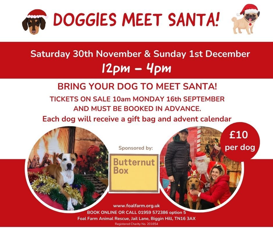 Doggies Meet Santa