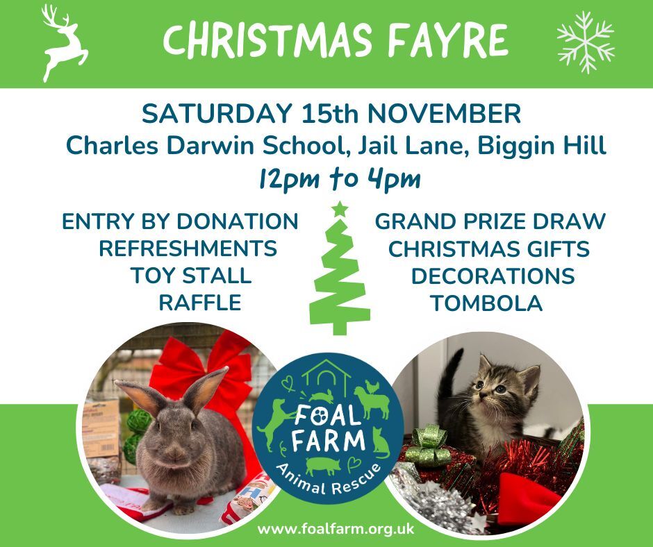 FAOL Chirstmas Fayre 2025