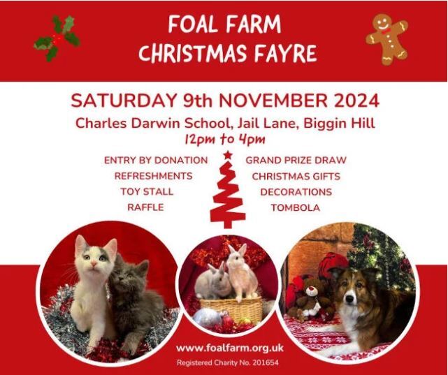 Foal Farm christmas Fayre 2024