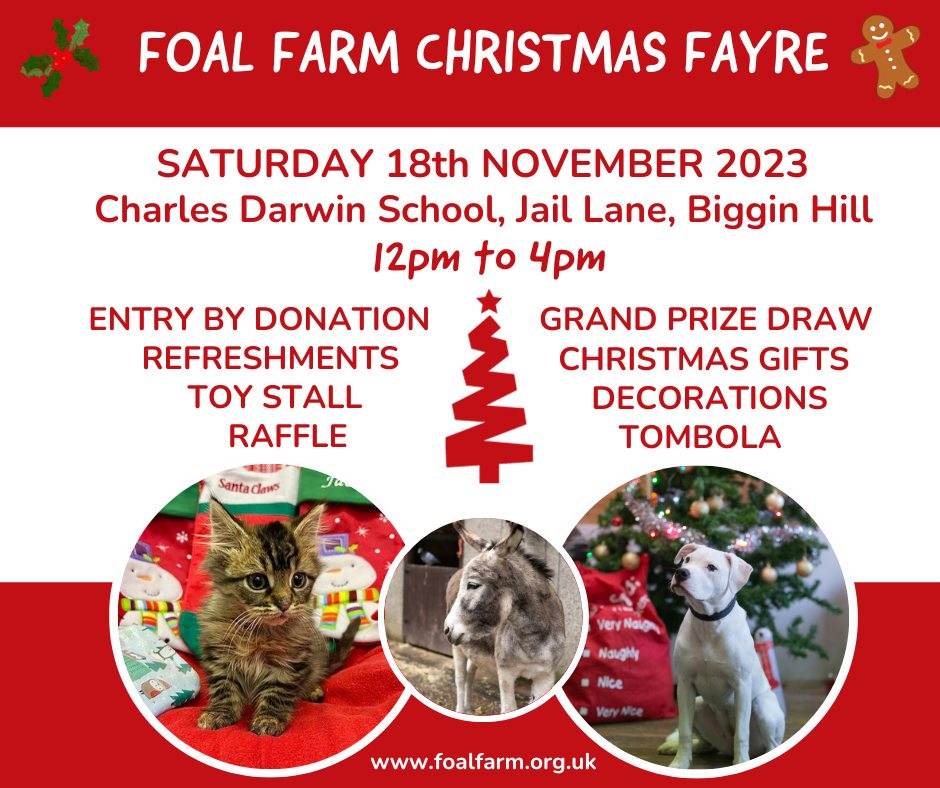 Foal farm christmas Fayre