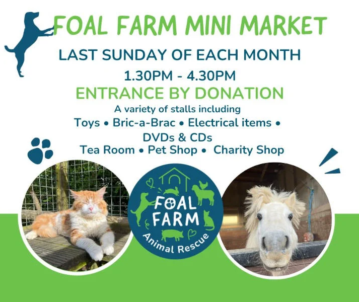 Foal Farm Mini Market event image with pictures of a cat and a horse next to the Foal Farm Animal Rescue logo