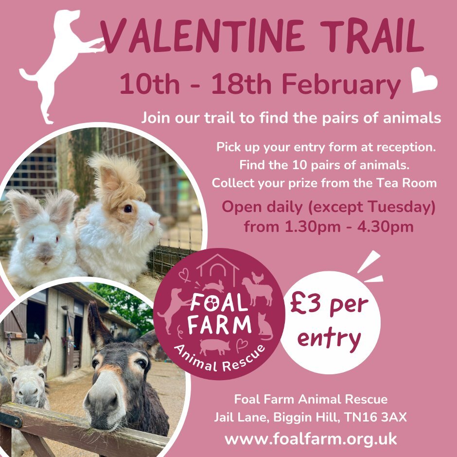 Foal Farm Valentine trail