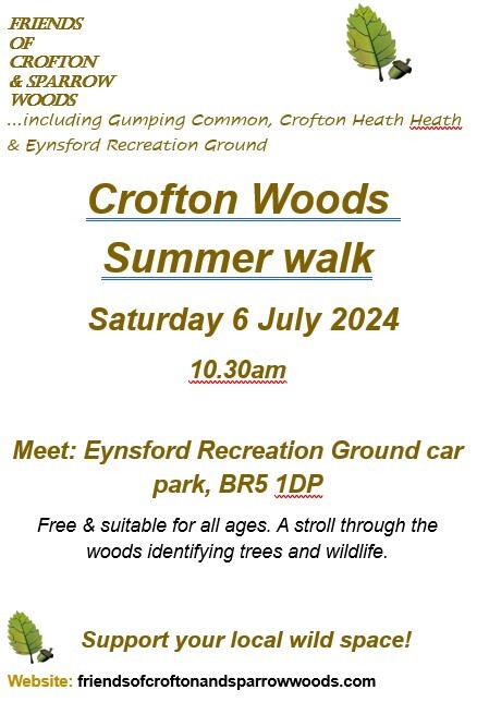 Flyer image text on page