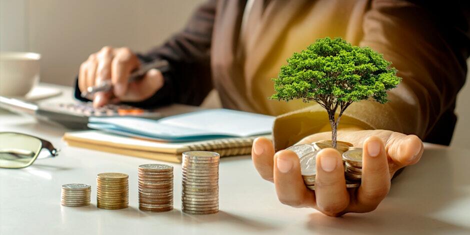 Image of hand holding coins with tree growing from them