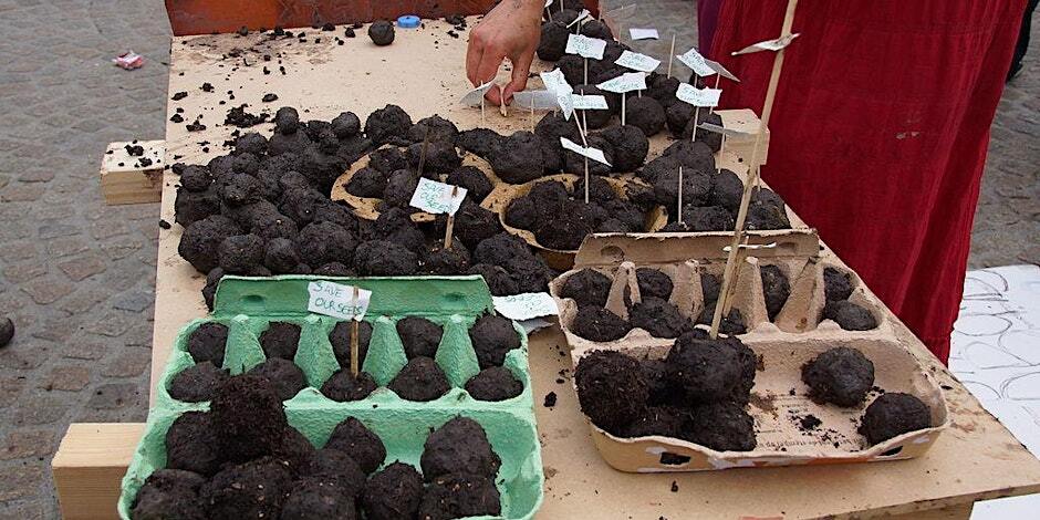 Guerilla Gardening