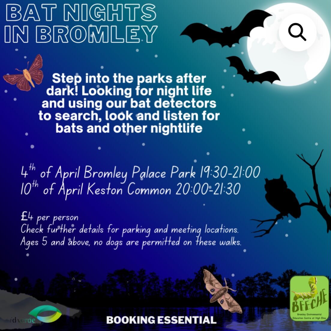 Guided Bat Walks