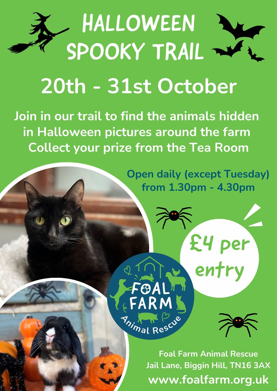 Halloween Spooky Trail