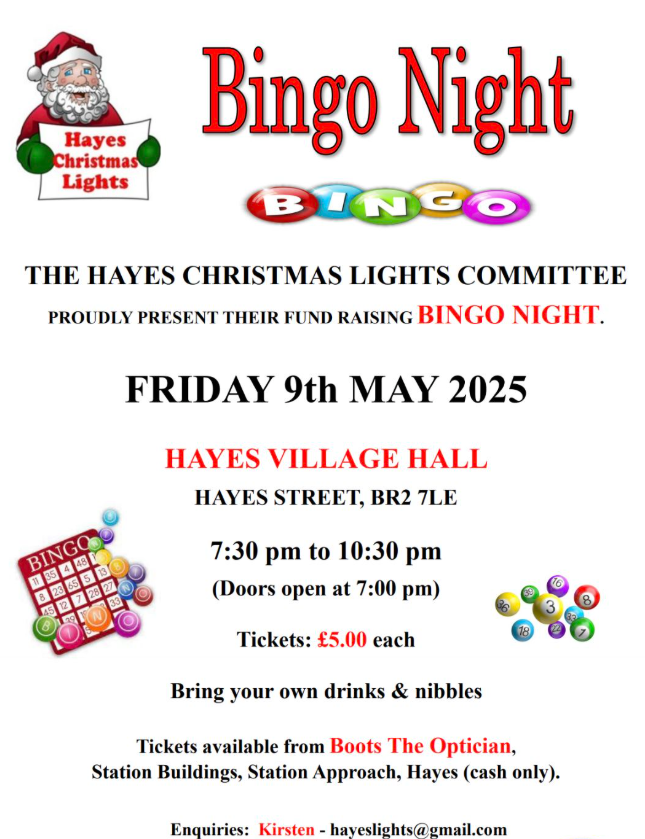 Hayes Christmas Lights Committee Bingo Night flyer