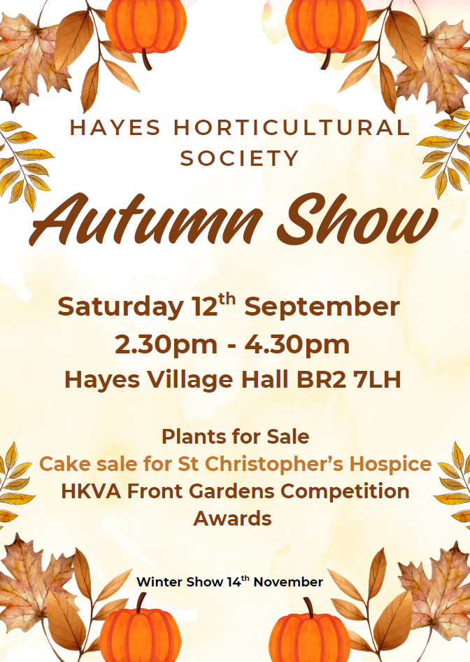 Hayes HOrticultural Autumn show