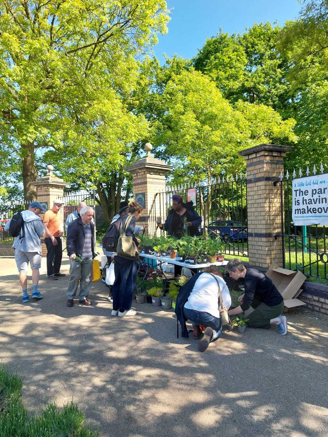 Invisible palace plant sale 2026