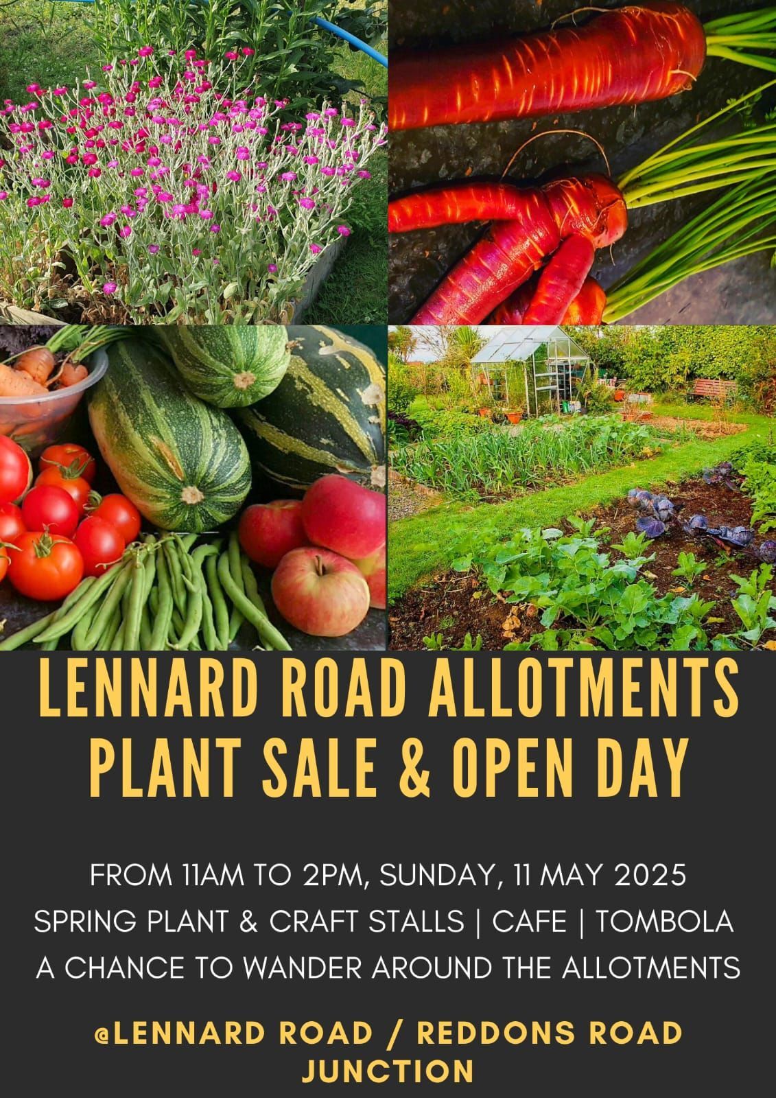 Image of allotments and vegetables above text about the event. Image text on webpage