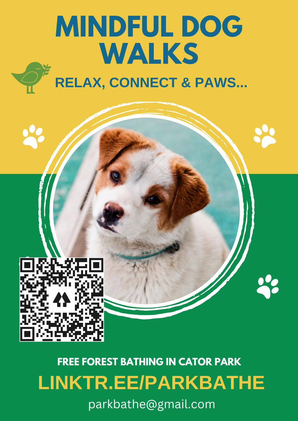 Mindful dog walks