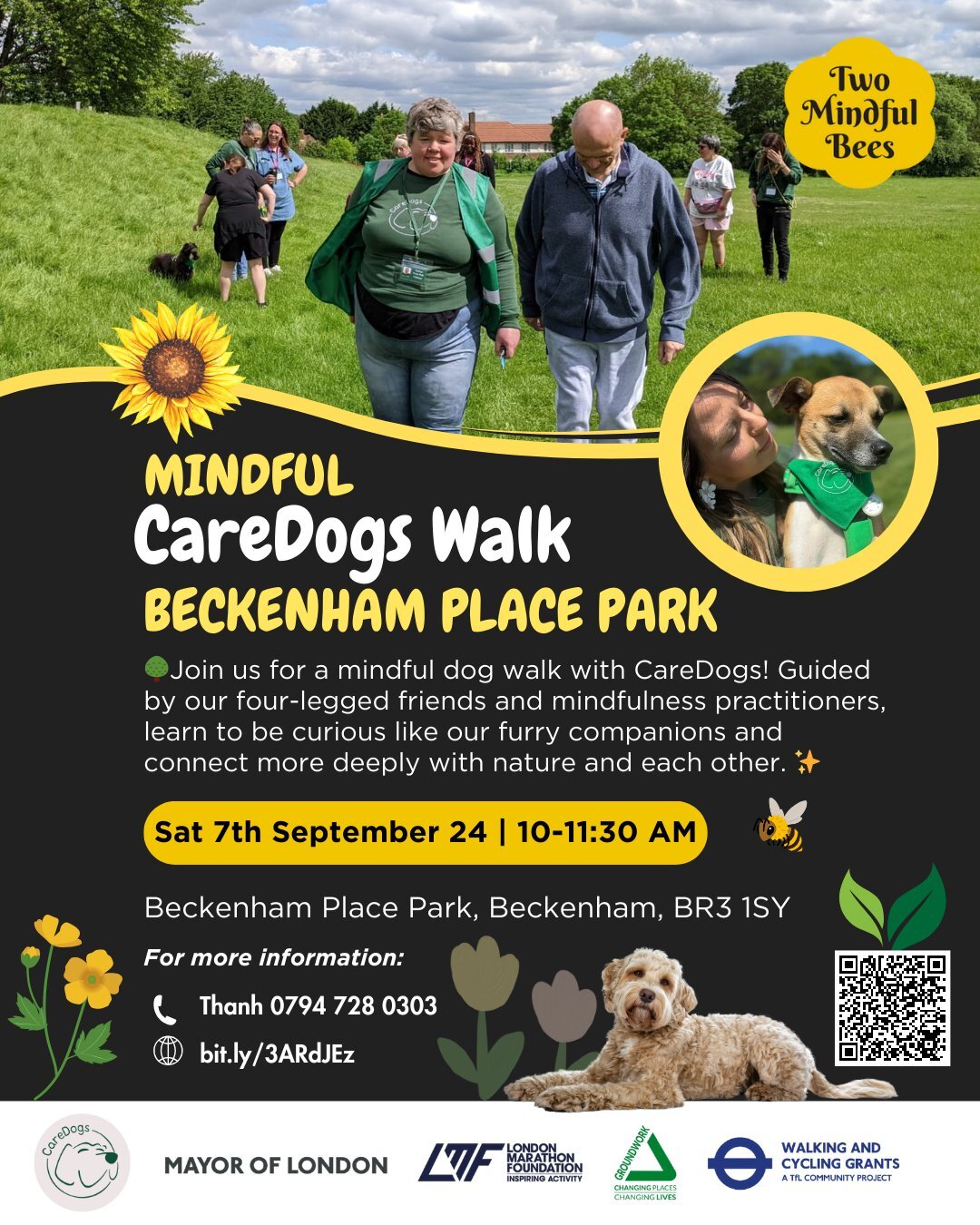 Mindul CareDogs Walk