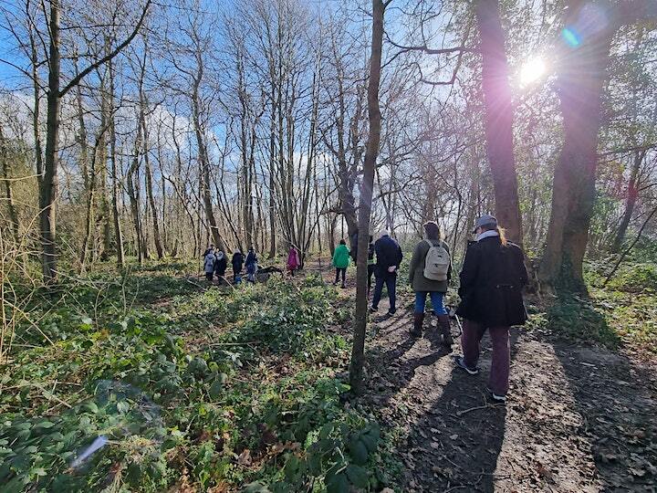 People walking through woodland