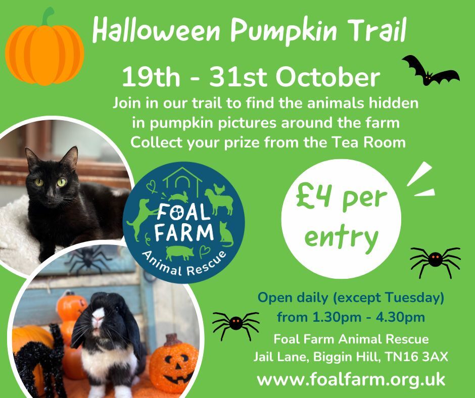 Pumpkin Trail Foal farm