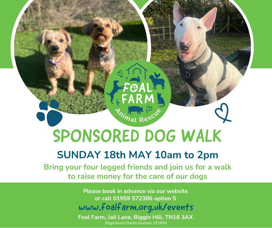 Sponsor Dog Walk