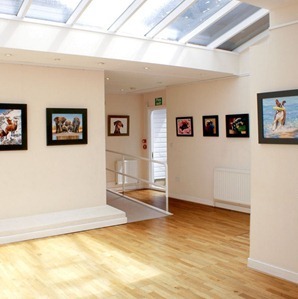 Bromley Arts Trust Gallery Space image