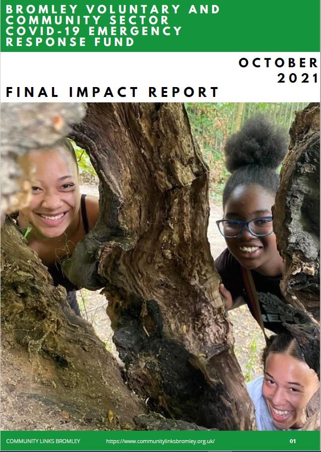 Final Impact Report front cover image