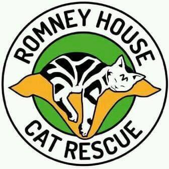 Cat lying on pillow surrounded by words &#39;Romeny Cat Rescue&#39;