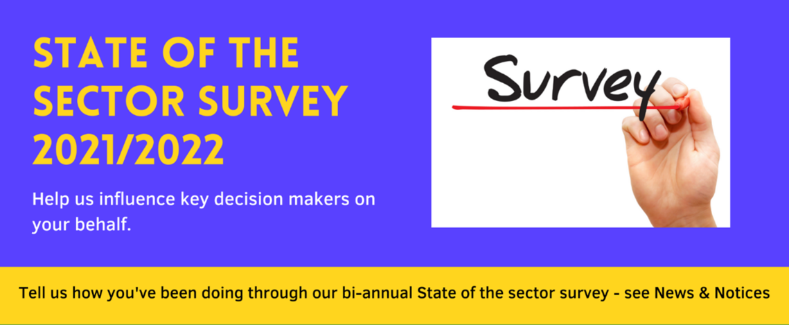 State of the Sector 2021/2022 survey