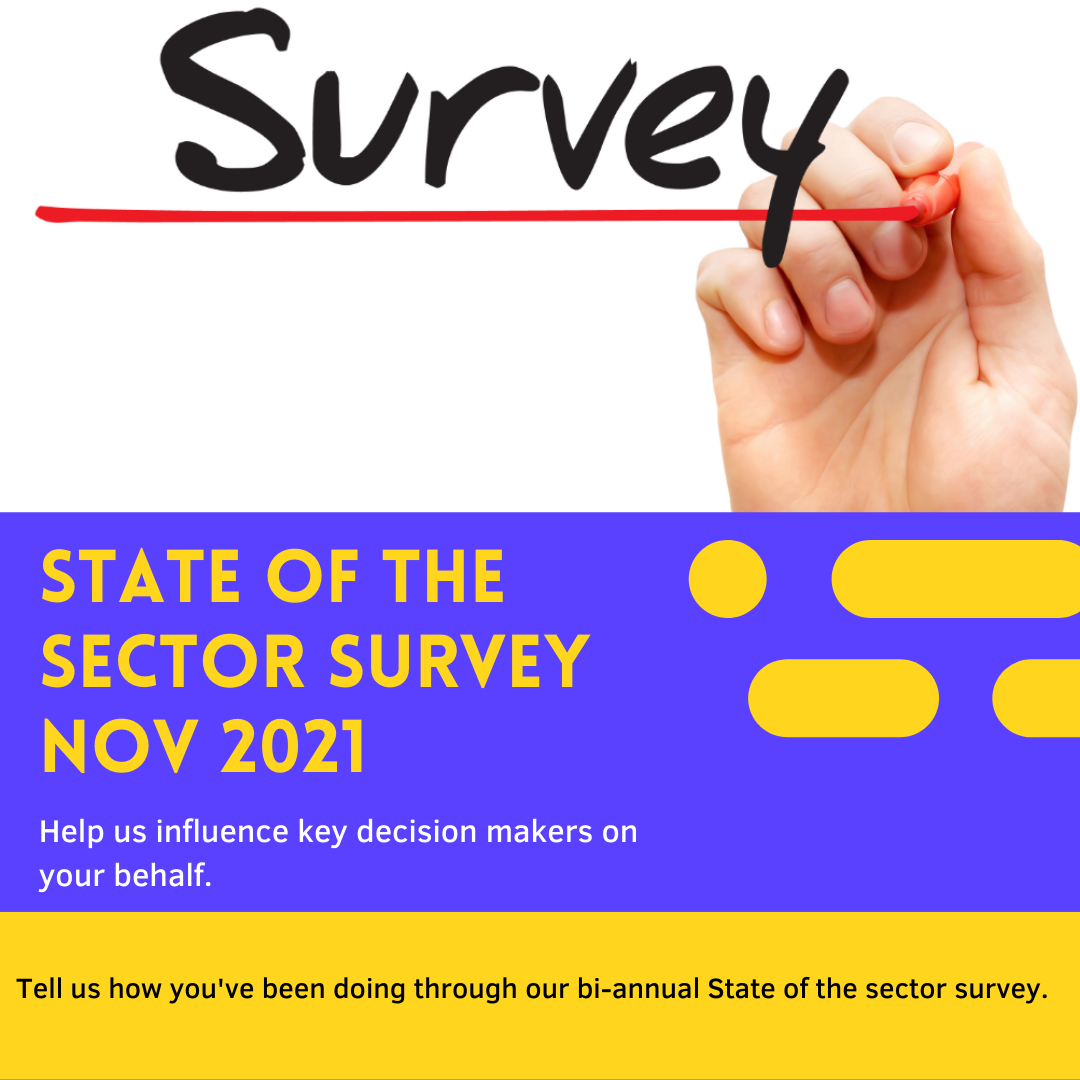 State of the Sector Survey image